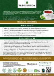 Marketing Associate