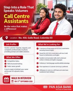 Call Center Assistants