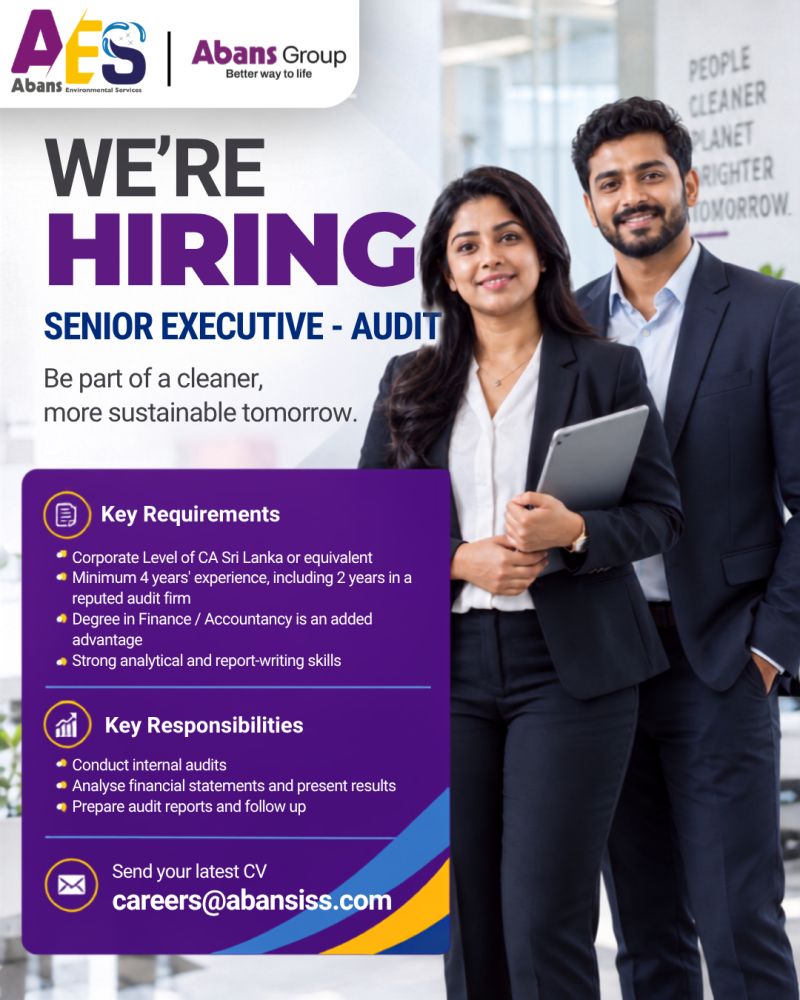 Senior Executive Audit